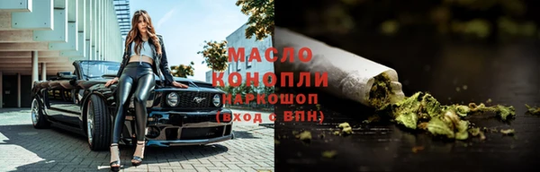 индика Беломорск