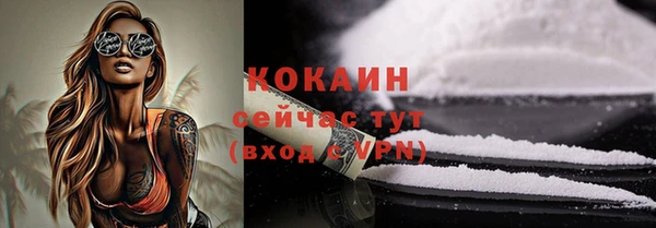 индика Беломорск