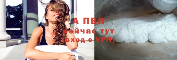индика Беломорск