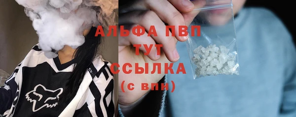 индика Беломорск