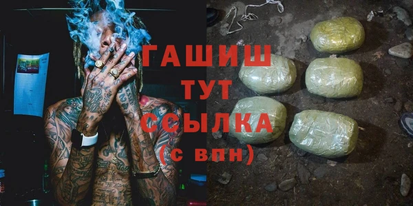 индика Беломорск