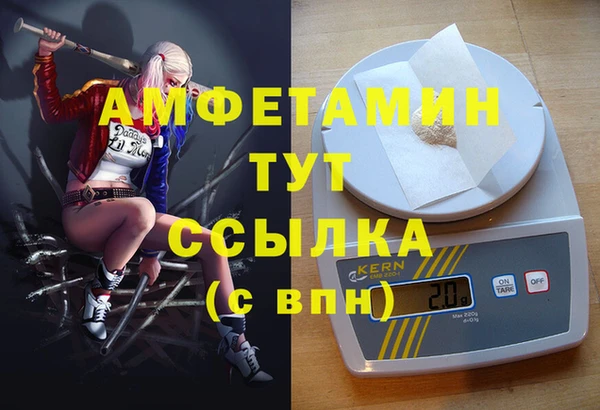 индика Беломорск