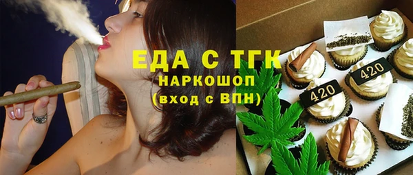 индика Беломорск