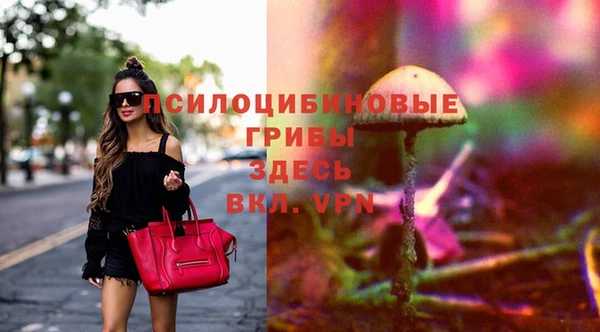 индика Беломорск