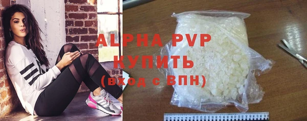 индика Беломорск